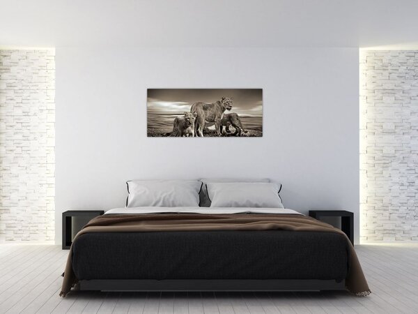 Tablou cu leii alb negri (120x50 cm)
