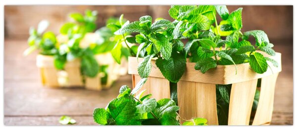 Tablou cu menta proaspătă (120x50 cm)