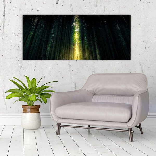 Tablou cu pădurea întunecată (120x50 cm)