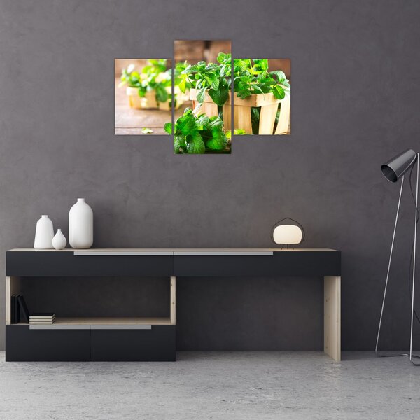 Tablou cu menta proaspătă (90x60 cm)