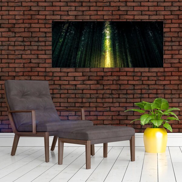 Tablou cu pădurea întunecată (120x50 cm)