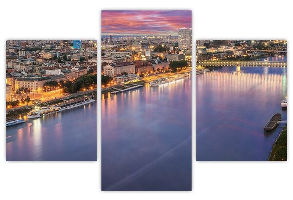 Tablou cu orașul Bratislava cu râu (90x60 cm)