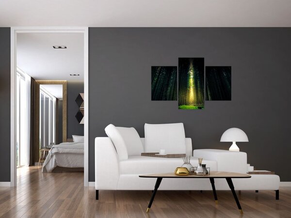 Tablou cu pădurea întunecată (90x60 cm)