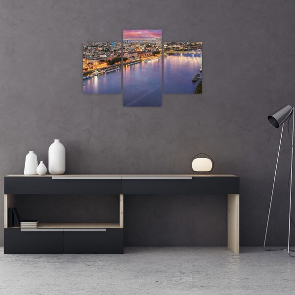 Tablou cu orașul Bratislava cu râu (90x60 cm)