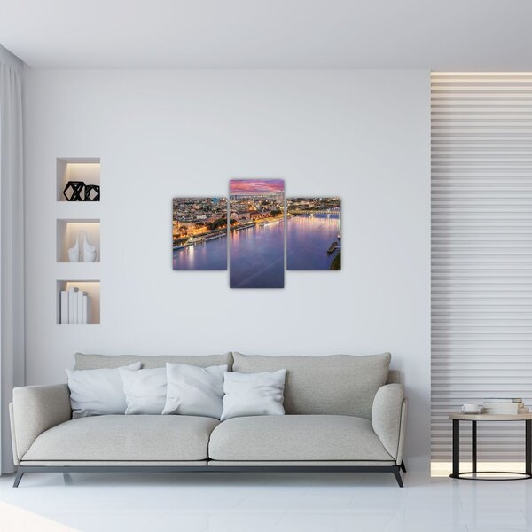 Tablou cu orașul Bratislava cu râu (90x60 cm)
