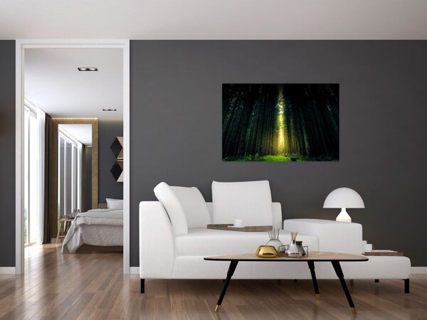 Tablou cu pădurea întunecată (90x60 cm)