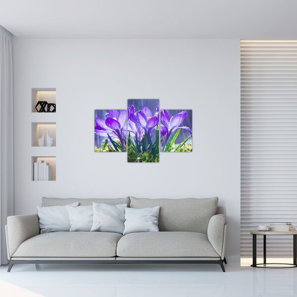 Tablou cuflori în ploaie (90x60 cm)