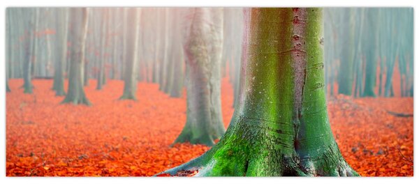 Tablou cu pomi (120x50 cm)