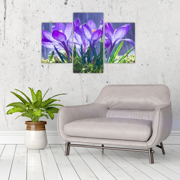 Tablou cuflori în ploaie (90x60 cm)