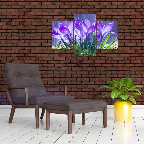 Tablou cuflori în ploaie (90x60 cm)