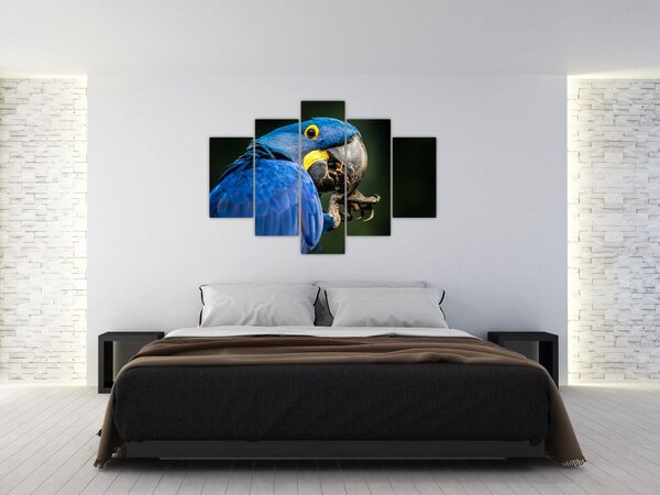 Tablou cu papagal (150x105 cm)