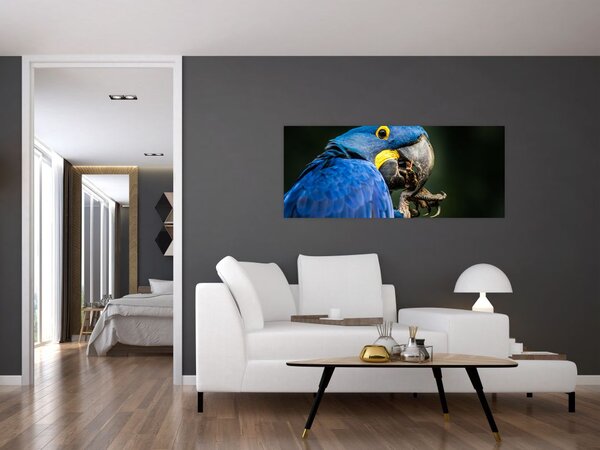 Tablou cu papagal (120x50 cm)