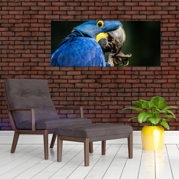 Tablou cu papagal (120x50 cm)