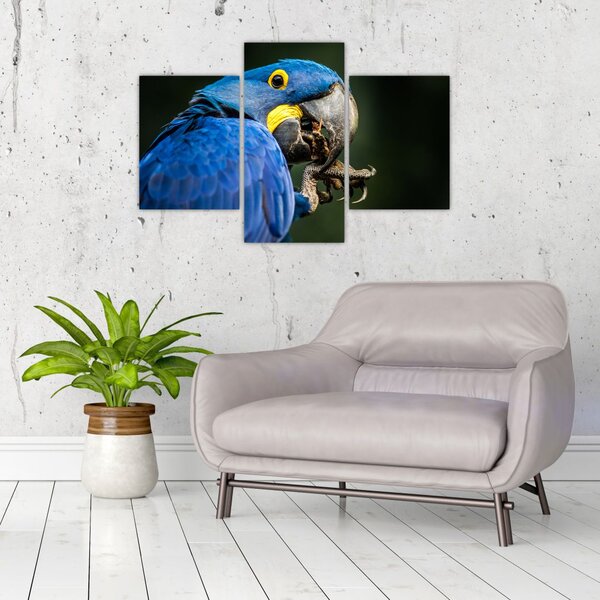 Tablou cu papagal (90x60 cm)