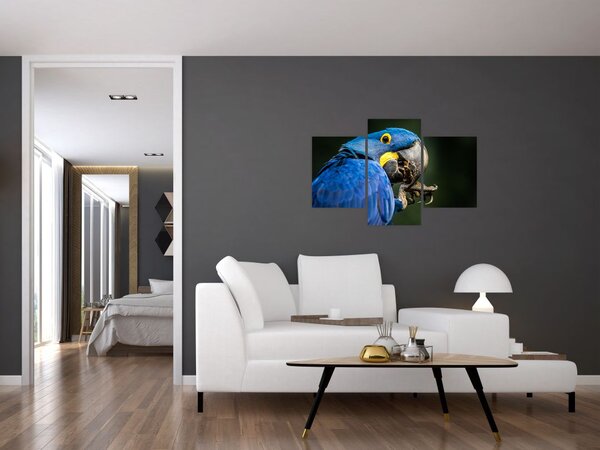 Tablou cu papagal (90x60 cm)