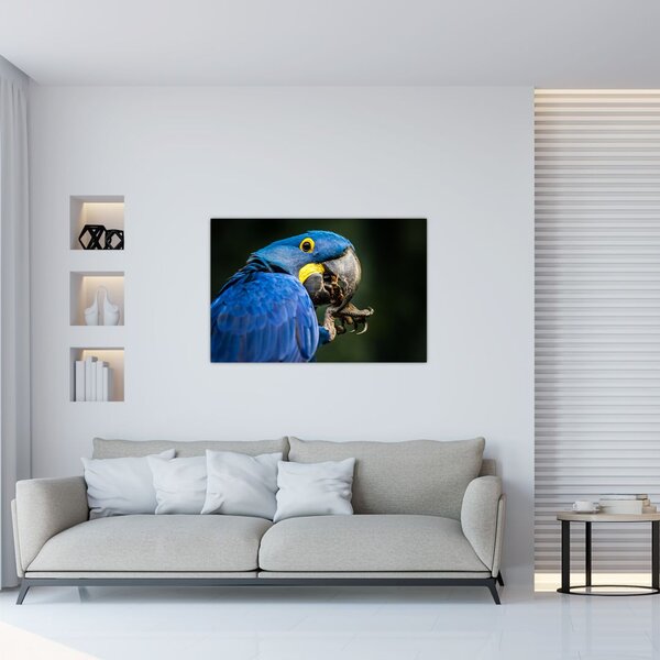 Tablou cu papagal (90x60 cm)