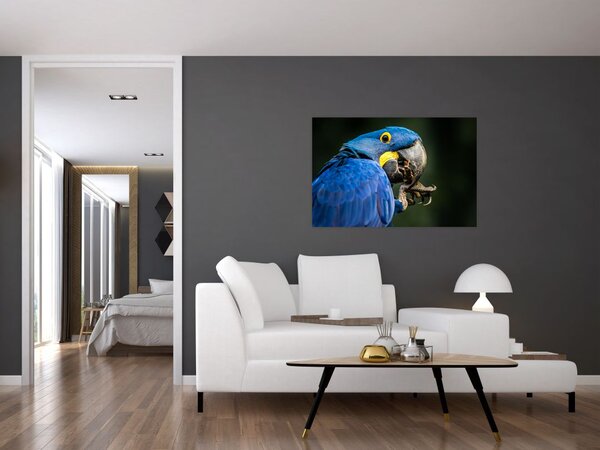 Tablou cu papagal (90x60 cm)