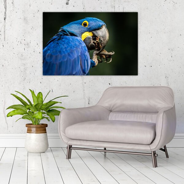 Tablou cu papagal (90x60 cm)