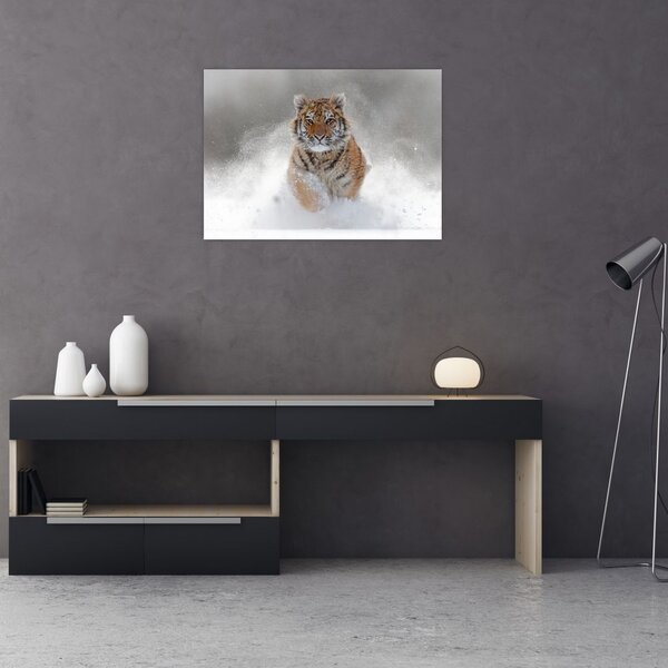 Tablou cutigru fugind prin zăpadă (70x50 cm)