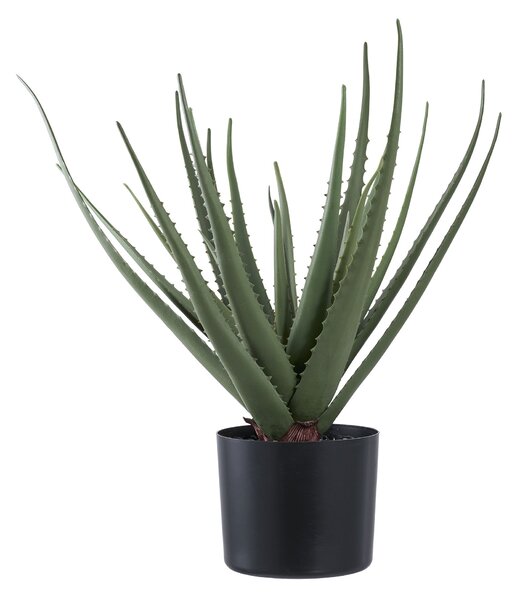 Plantă artificială de Aloe vera Ariaveta (verde). 1146494