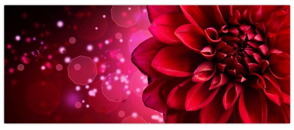 Tablou cu floare roșie (120x50 cm)