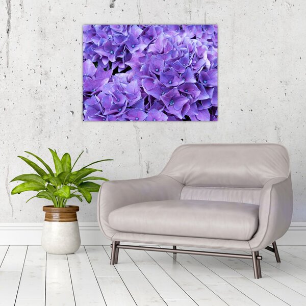 Tablou cu flori violete (70x50 cm)