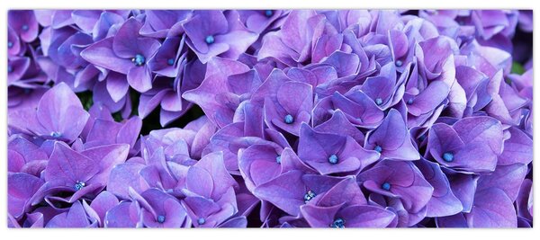 Tablou cu flori violete (120x50 cm)