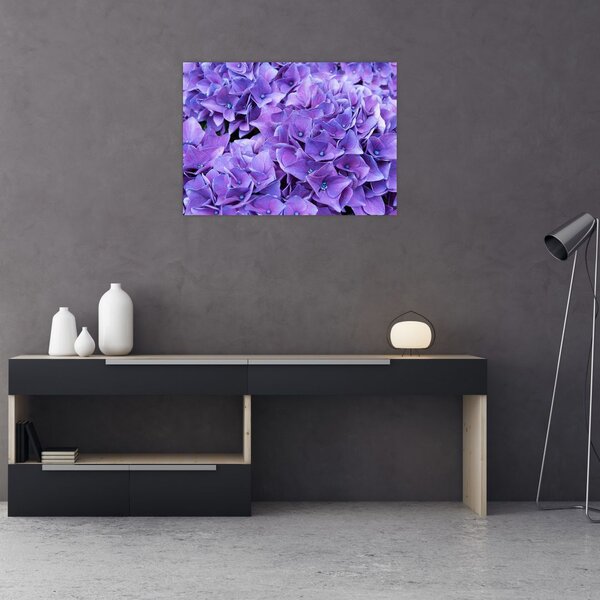 Tablou cu flori violete (70x50 cm)