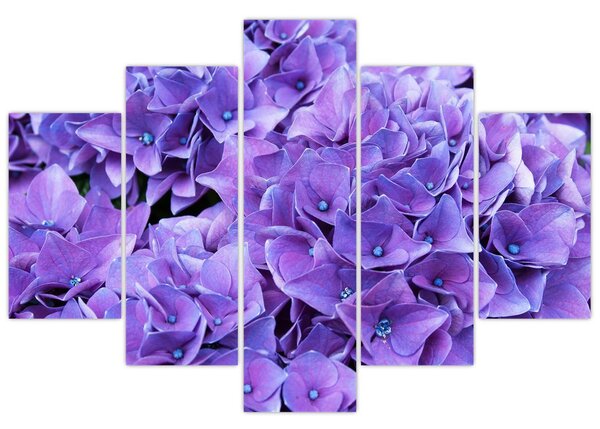 Tablou cu flori violete (150x105 cm)