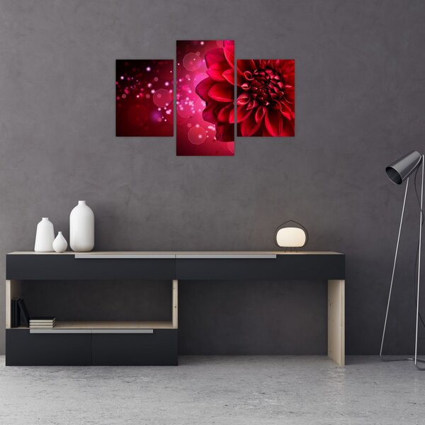 Tablou cu floare roșie (90x60 cm)
