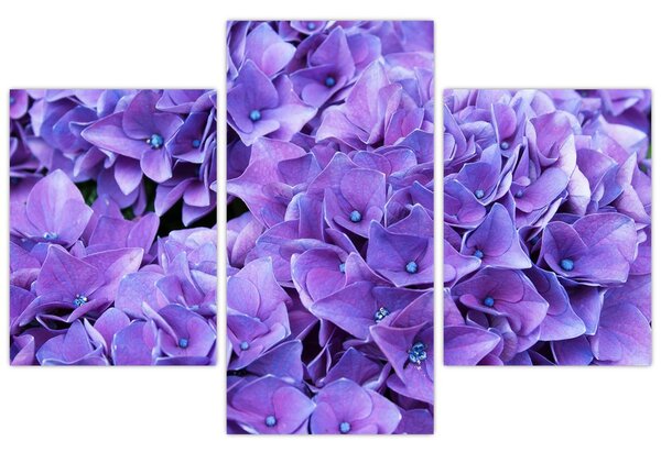 Tablou cu flori violete (90x60 cm)