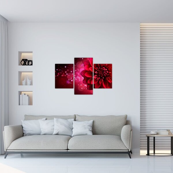 Tablou cu floare roșie (90x60 cm)