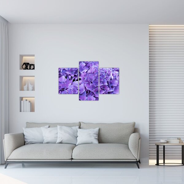 Tablou cu flori violete (90x60 cm)