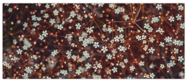 Tablou cu floare de nu mă uita (120x50 cm)
