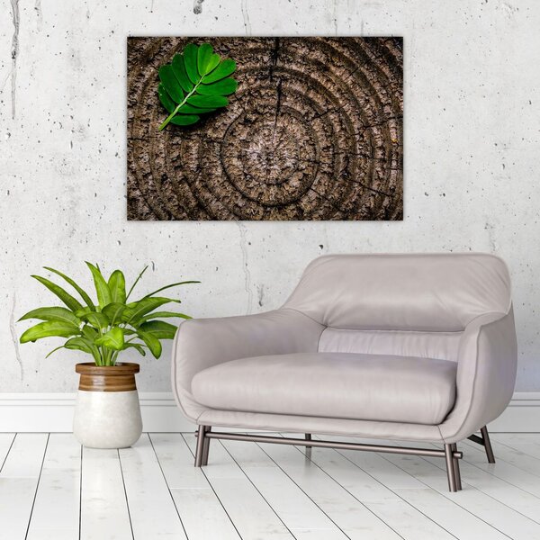 Tablou cu frunză pe trunchi de copac (90x60 cm)
