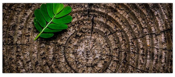 Tablou cu frunză pe trunchi de copac (120x50 cm)