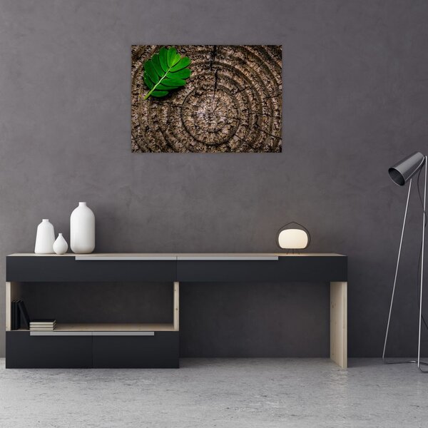 Tablou cu frunză pe trunchi de copac (70x50 cm)