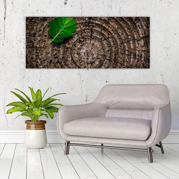 Tablou cu frunză pe trunchi de copac (120x50 cm)
