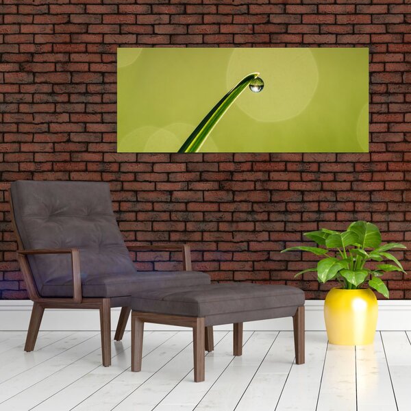 Tablou cu picătură de apă pe iarbă (120x50 cm)