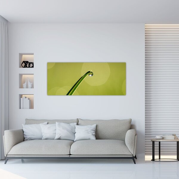 Tablou cu picătură de apă pe iarbă (120x50 cm)