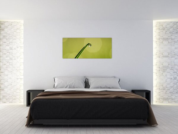 Tablou cu picătură de apă pe iarbă (120x50 cm)