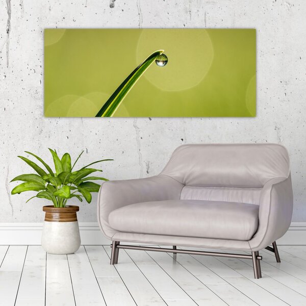 Tablou cu picătură de apă pe iarbă (120x50 cm)