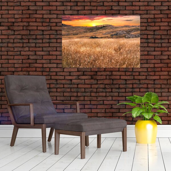 Tablou cu câmp (90x60 cm)