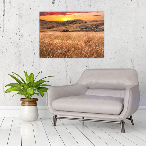 Tablou cu câmp (70x50 cm)