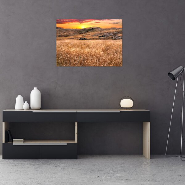 Tablou cu câmp (70x50 cm)