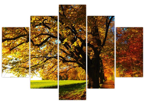 Tablou cu copac toamna (150x105 cm)