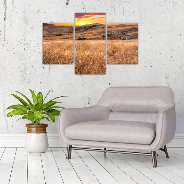 Tablou cu câmp (90x60 cm)