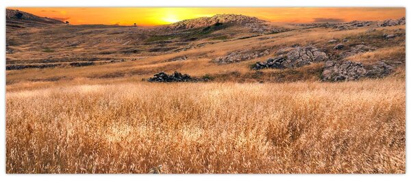 Tablou cu câmp (120x50 cm)