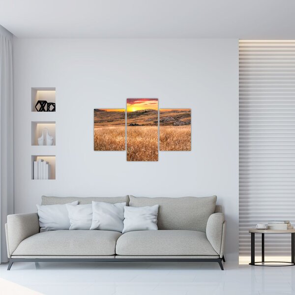 Tablou cu câmp (90x60 cm)