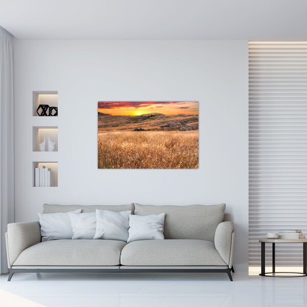 Tablou cu câmp (90x60 cm)